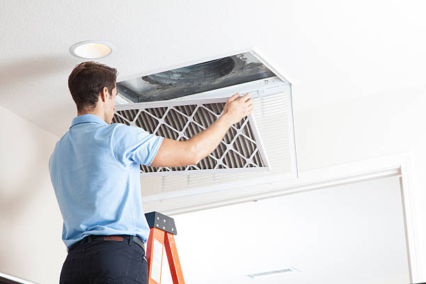 Best HVAC Cleaning Services  in Lewiston, MN